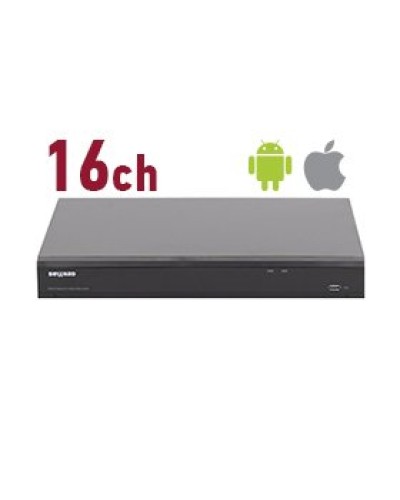 RK2216. Видеорегистратор IP 16-канальный. Beward в Челябинске