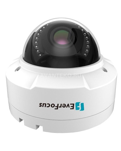 EHN-1250. Видеокамера IP купольная. EverFocus в Челябинске
