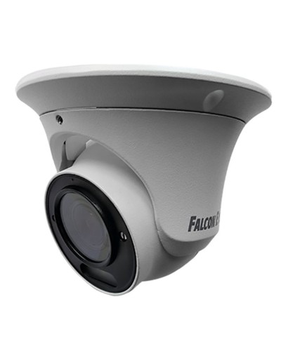 FE-IPC-DV5-40pa. Видеокамера IP купольная. Falcon EYE в Челябинске