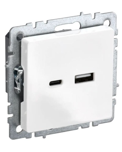 Розетка USB A+C 18Вт РЮ11-1-БрБ белый BRITE (BR-U22-018-K01). Розетка USB. IEK в Челябинске