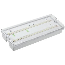 Светильник аварийный ДПА 5042-1 1ч IP65 LIGHTING (LDPA0-5042-1-65-K01). Светильник аварийный универсальный. IEK