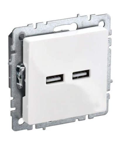 Розетка USB A+A 3,1А РЮ10-1-БрБ белый BRITE (BR-U21-D31-K01). Розетка USB. IEK в Челябинске