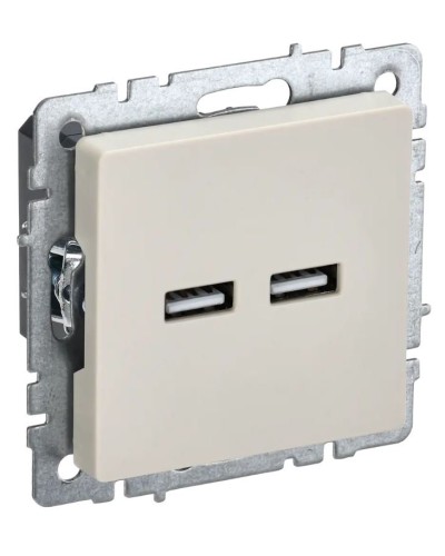 Розетка USB A+A 3,1А РЮ10-1-БрКр бежевый BRITE (BR-U21-D31-K10). Розетка USB. IEK в Челябинске