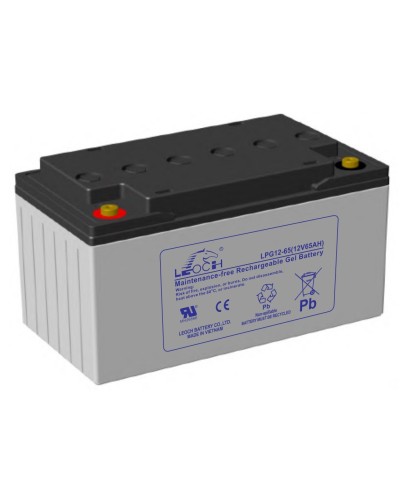 LEOCH LPG 12-65. Аккумулятор герметичный свинцово-кислотный. LEOCH в Челябинске