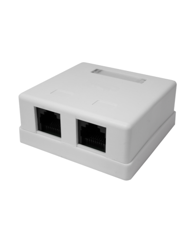 Розетка настенная RJ-45, 8P8C, Cat.5e, 2 порта UTP (10-0309): Компьютерная розетка в Челябинске