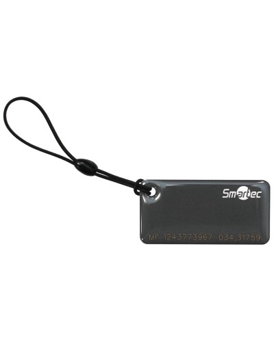 ST-PT015MF-GR. Брелок. Smartec в Челябинске