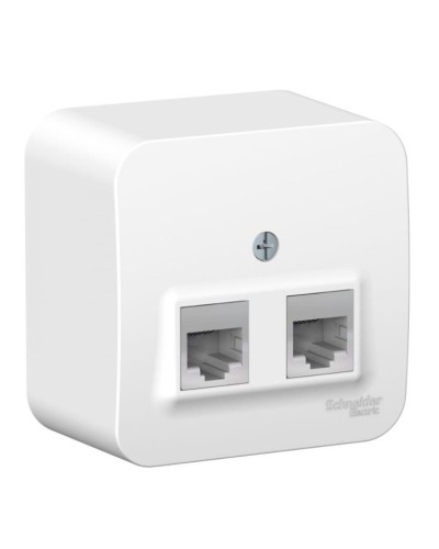 BLANCA розетка RJ11+RJ45, 2-местная, кат. 5Е, открытой установки, белый (BLNIA045111). Розетка компьютерная + телефонная с изолированной пластиной. Systeme Electric в Челябинске