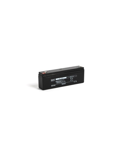 SKAT SB 12022 (2539). Аккумулятор герметичный свинцово-кислотный. Бастион в Челябинске